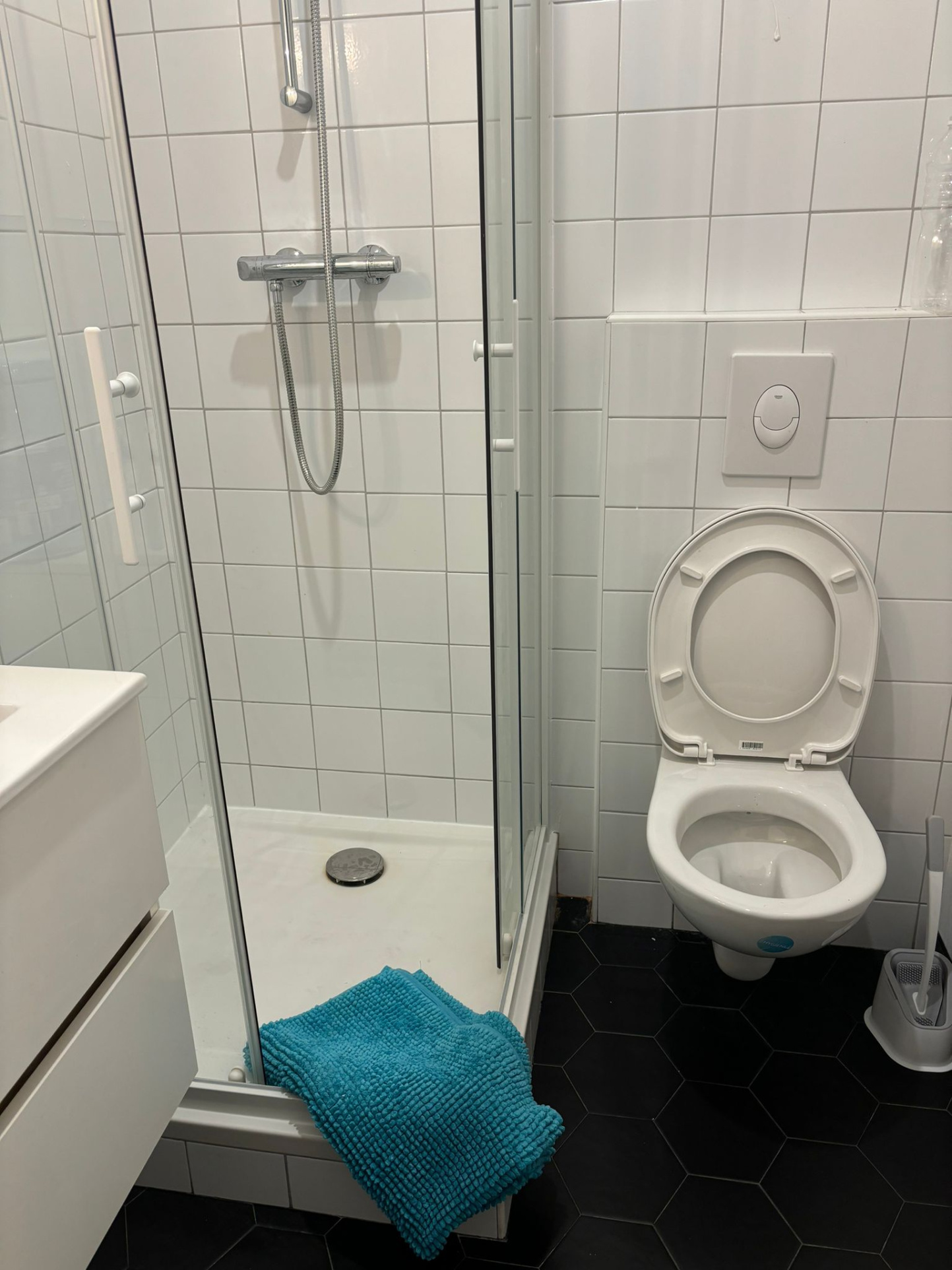 Image_, Appartement, Montpellier, ref :LOC-COLOC-THVERDUN