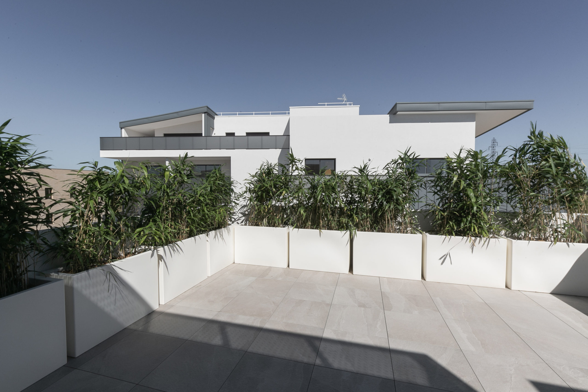 Image_, Appartement, Saint-Jean-de-Védas, ref :TDMF-B31