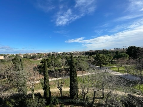 Image_, Studio, Montpellier, ref :LOC_T1_WAG