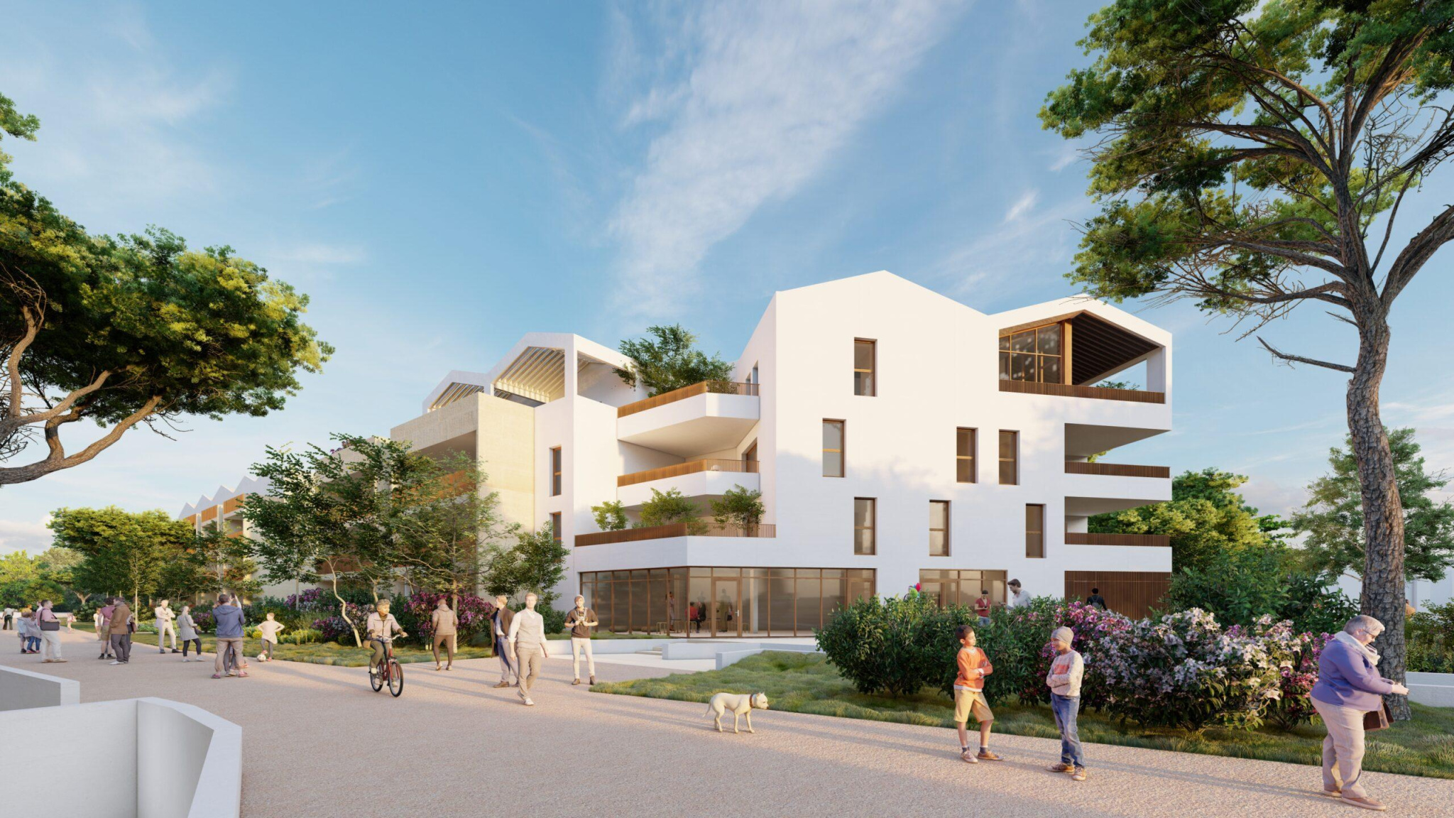 Image_, Appartement, Cournonterral, ref :NEOTDS-A304