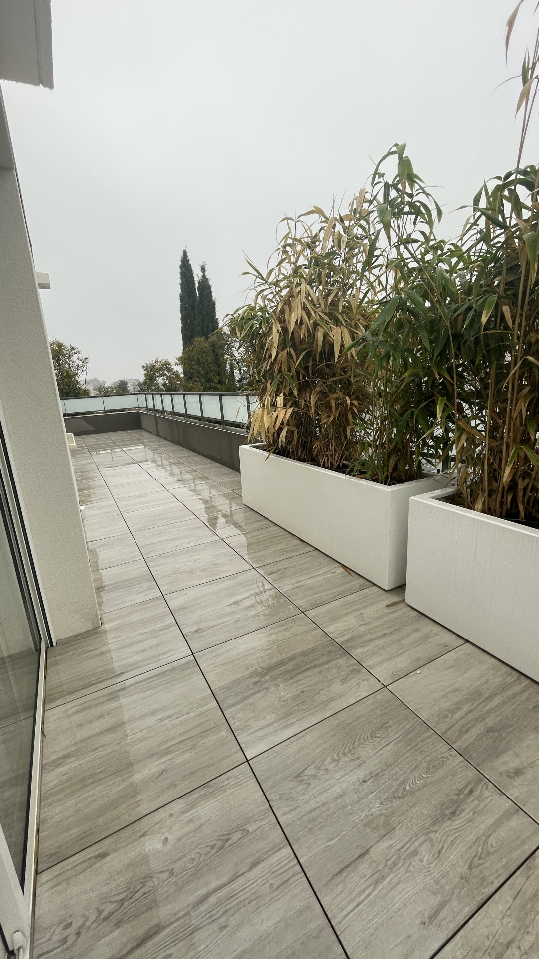 Image_, Appartement, Montpellier, ref :BLUGE-A205