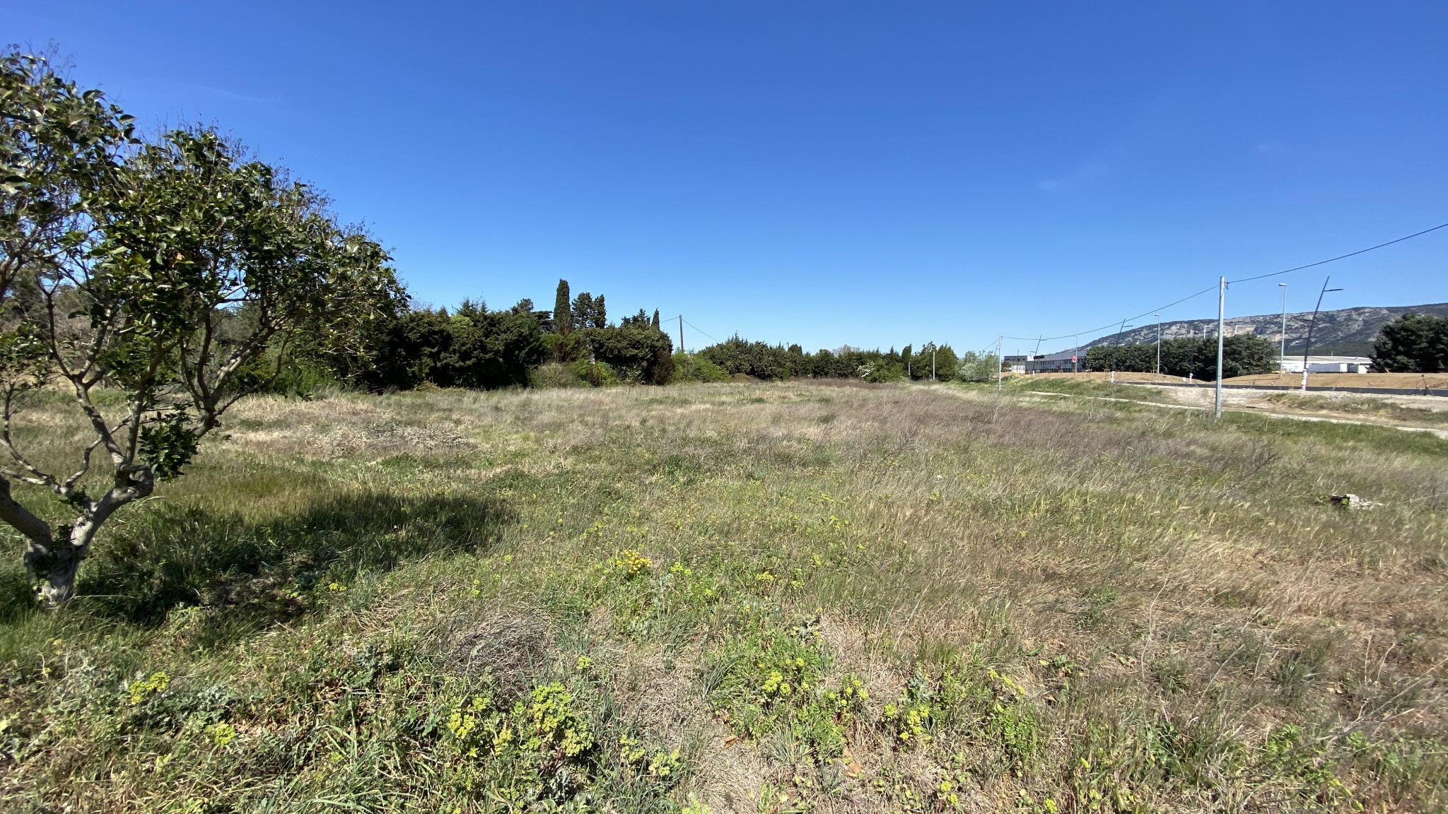 Image_, Terrain, Cavaillon, ref :CAVAILLON_LOT_2