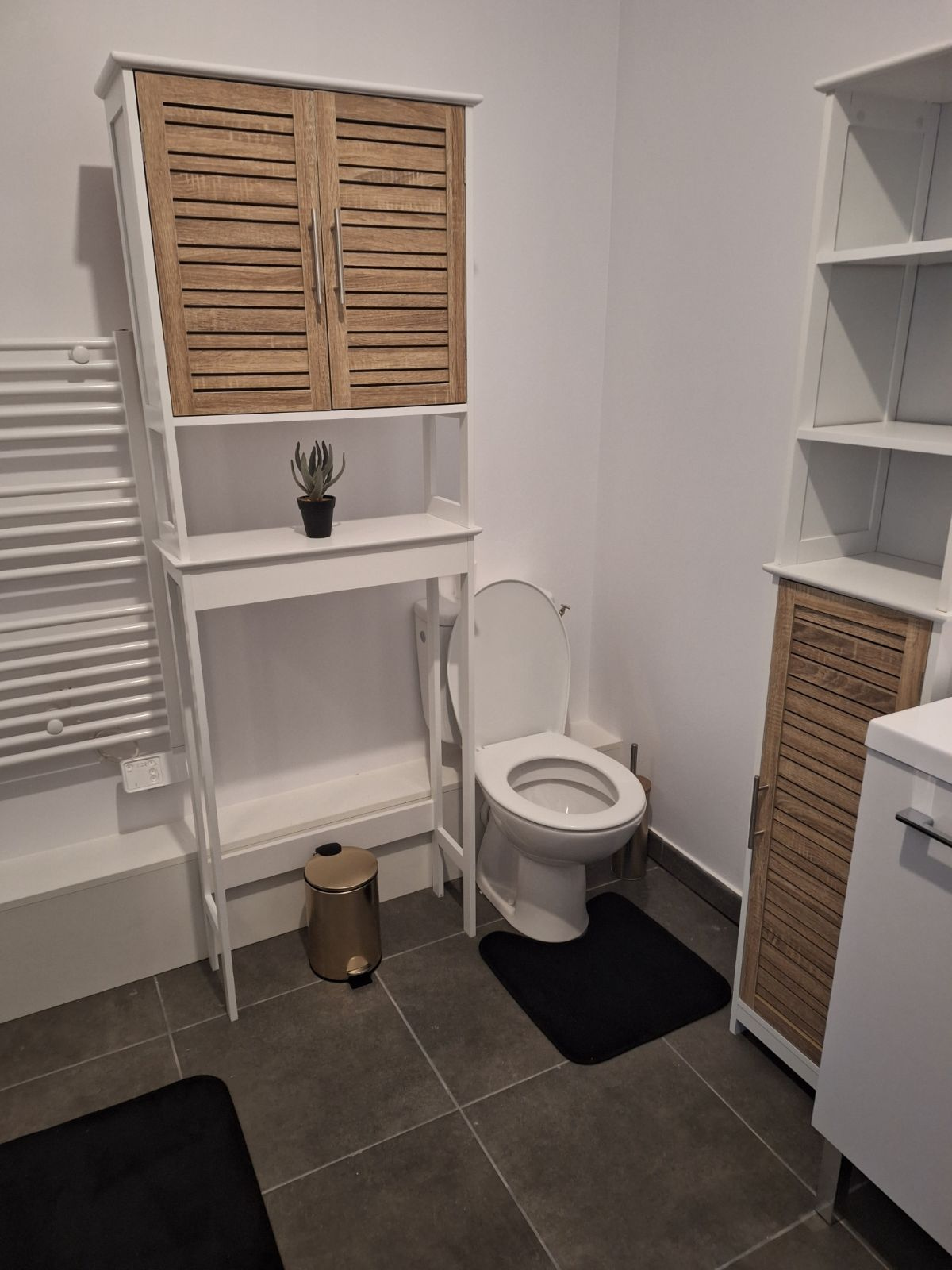 Image_, Appartement, Perpignan, ref :PERPI_T2_MEU