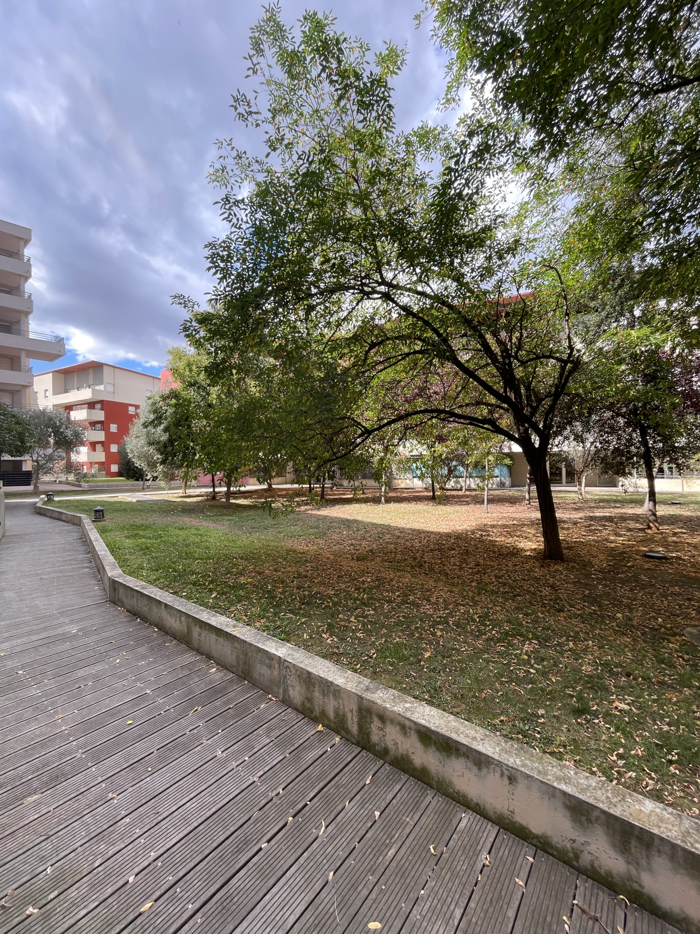 Image_, Appartement, Montpellier, ref :LOC-T2LIRONDE