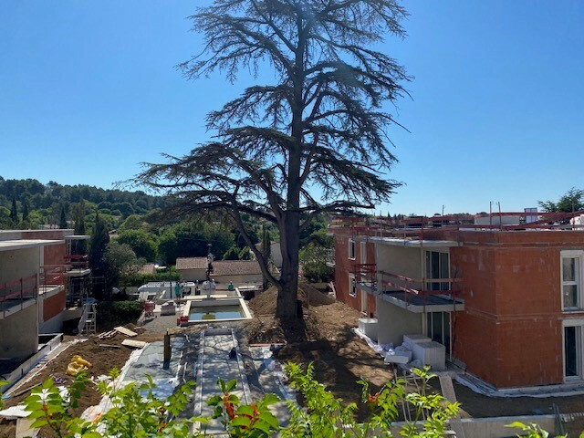 Image_, Appartement, Nîmes, ref :PPTERMAN-M002