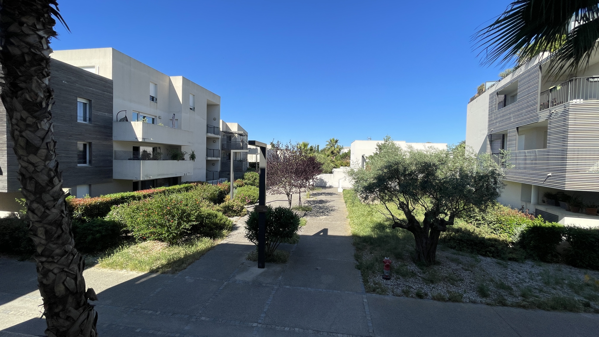 Image_, Appartement, Baillargues, ref :T_670_57