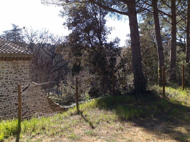 Image_, Appartement, Castelnau-le-Lez, ref :LOC-T4-CASTELNAU-VER