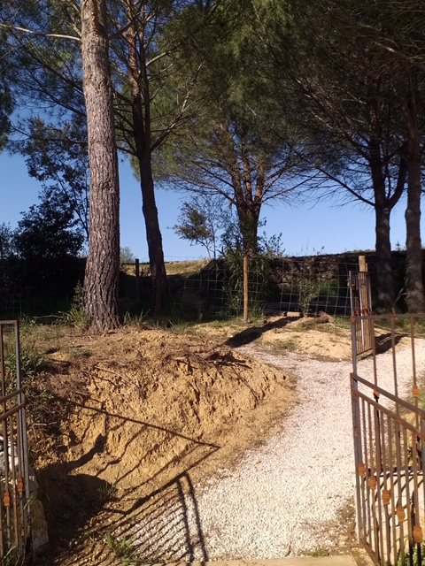 Image_, Appartement, Castelnau-le-Lez, ref :LOC-T4-CASTELNAU-VER