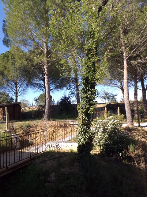 Image_, Appartement, Castelnau-le-Lez, ref :LOC-T4-CASTELNAU-VER