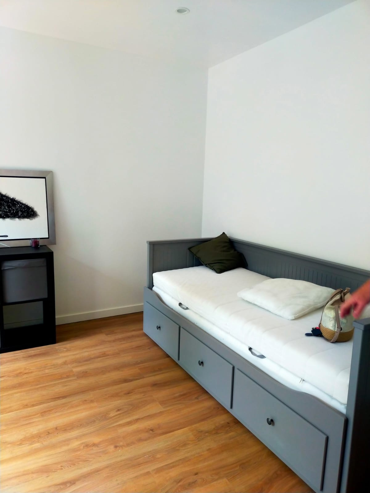 Image_, Appartement, Montpellier, ref :LOC_STU