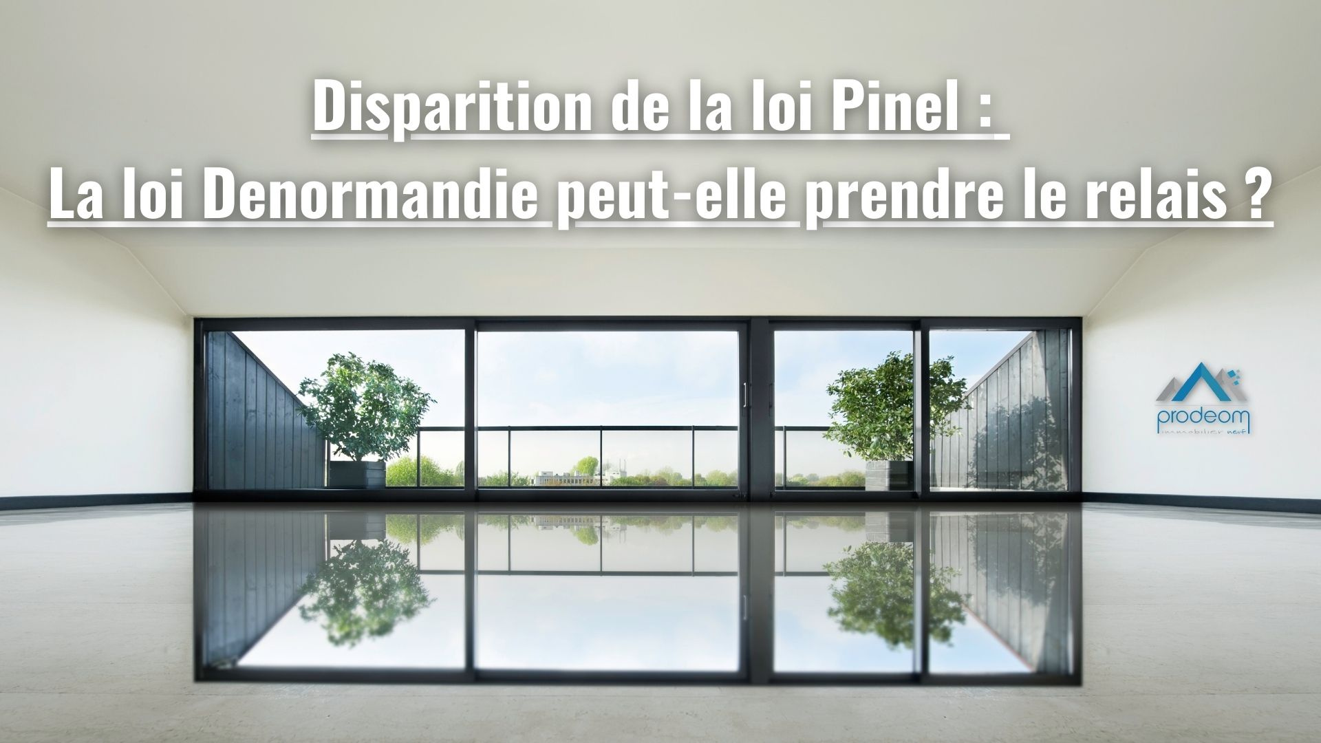 Disparition de la loi Pinel : la loi ...